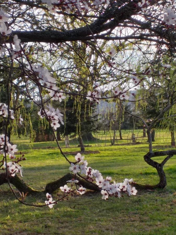 Domaine Berenguer Bed and Breakfast Ouches Εξωτερικό φωτογραφία