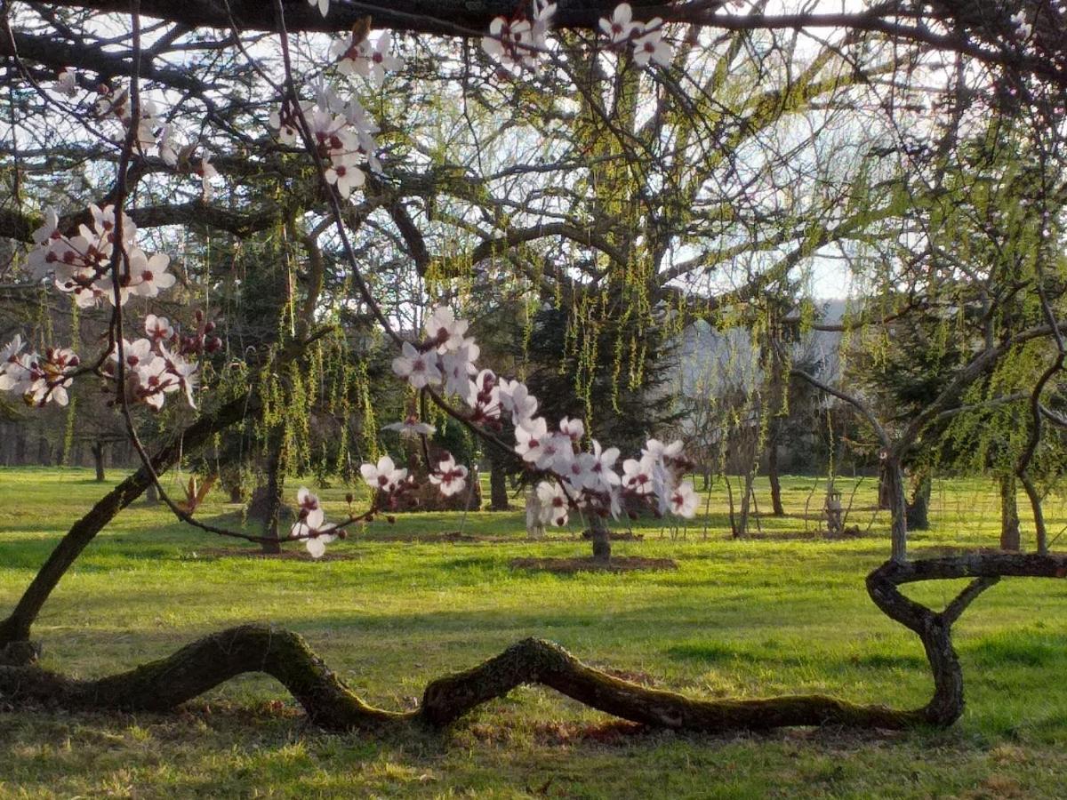 Domaine Berenguer Bed and Breakfast Ouches Εξωτερικό φωτογραφία